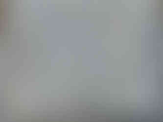 Biblical Gardens Elgin