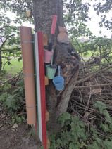 Portgordon Fairy Walk