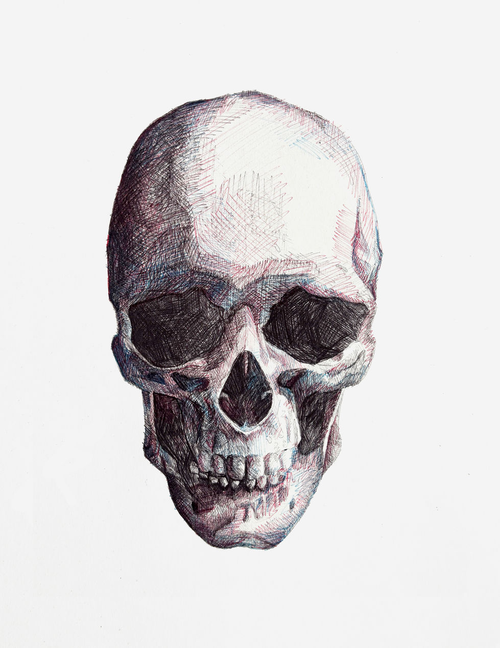 Skull, 2023