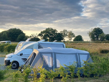 Golden hour view of peaceful camping pitches at Abbey Green Farm, overlooking Shropshire farmland and mature trees.