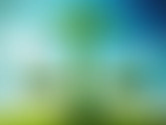 Breaking Down Global ESG Compliance and Regulations