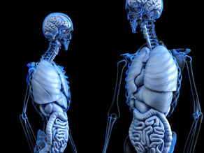 The Anatomy of Safety Change