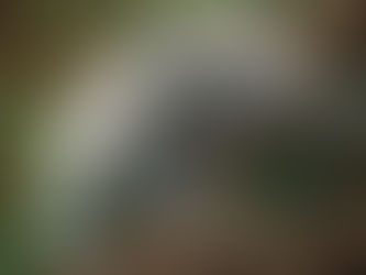 The Complacency Dilemma