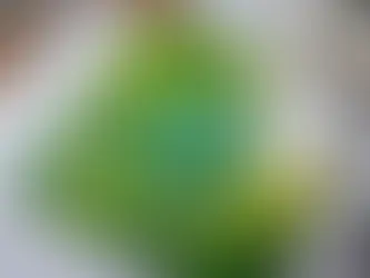 ISO 14001認証を取得するための重要なステップ