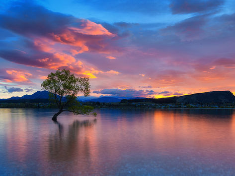 Wanaka, New Zealand