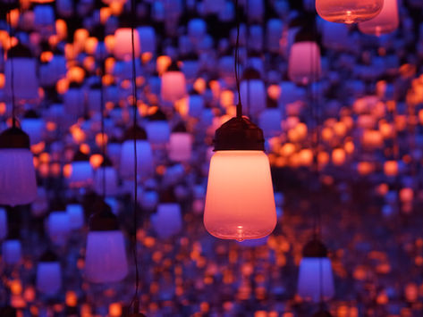 TeamLab Borderless, Tokyo