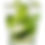 Thumbnail: Garden Mint 12 Ounce Soy Candle