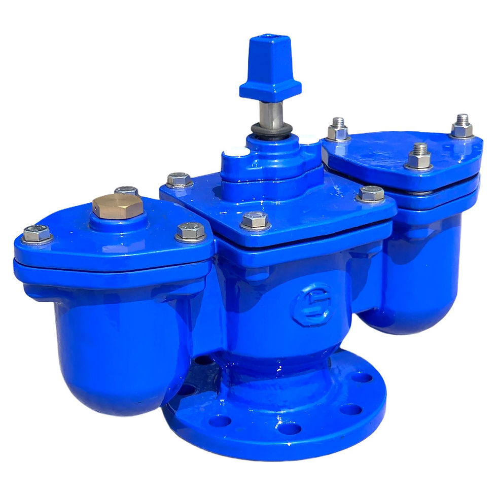 Thumbnail: D.I Double Orifice Air Valve with Isolating Valve