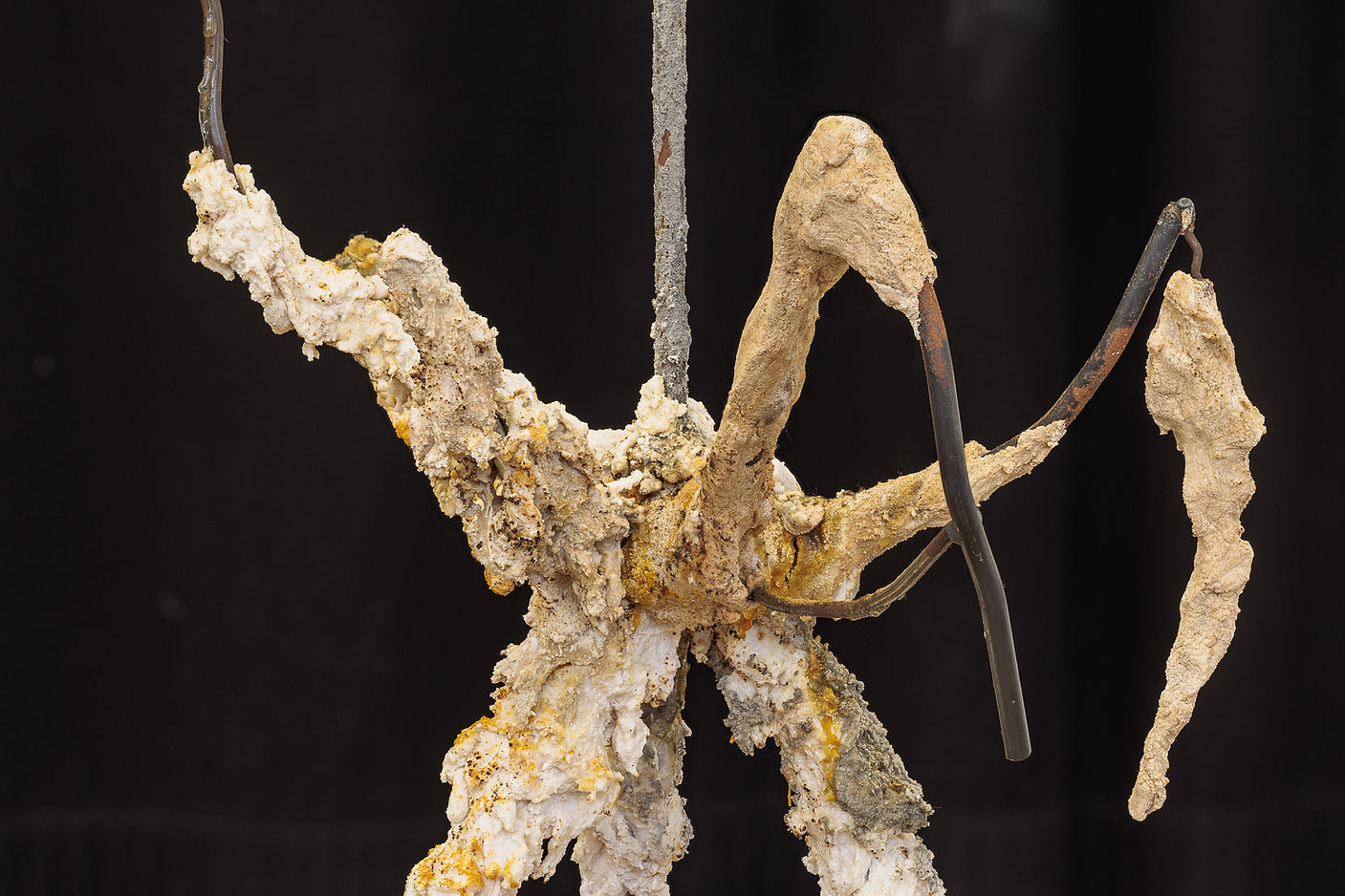 Spider Outside Of The Show, detail