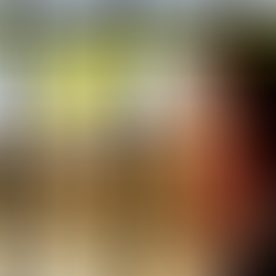 Clarifying a Recent Online Misconception: Prison Sentences and Eligibility to Stand as an MP