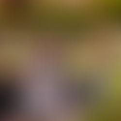 Bhim Kholi Murder Suspect ‘Had to Release Anger’, Court Hears