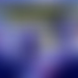 Manchester Airport Incident: Suspects Will Appear In Crown Court On Assault Charges