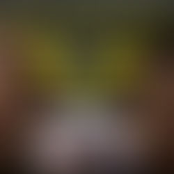 "Drug and Gun Dealers Max Williams and Daniel Morgan Jailed for Nearly 40 Years"