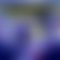 Not Guilty Pleas From Alleged Manchester Airport Attackers