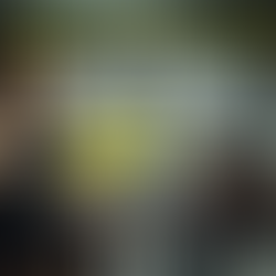 Legal Breakdown: Should You Really Remain Silent in Police Interviews?