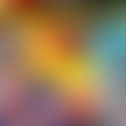 Qu’ran Burnings: Legal Precedent and the Thin Ice of Selective Prosecution!!