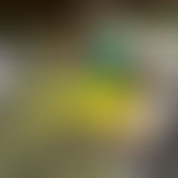 Ex-Hockey Player Mohamed Samak Denies Murder - Claims Wife Joanne Stabbed Herself