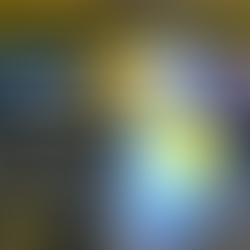 Senseless Birmingham Road Rage Murder: Ebiker Killed After Doing Wheelie