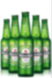 Heineken da 33cl
