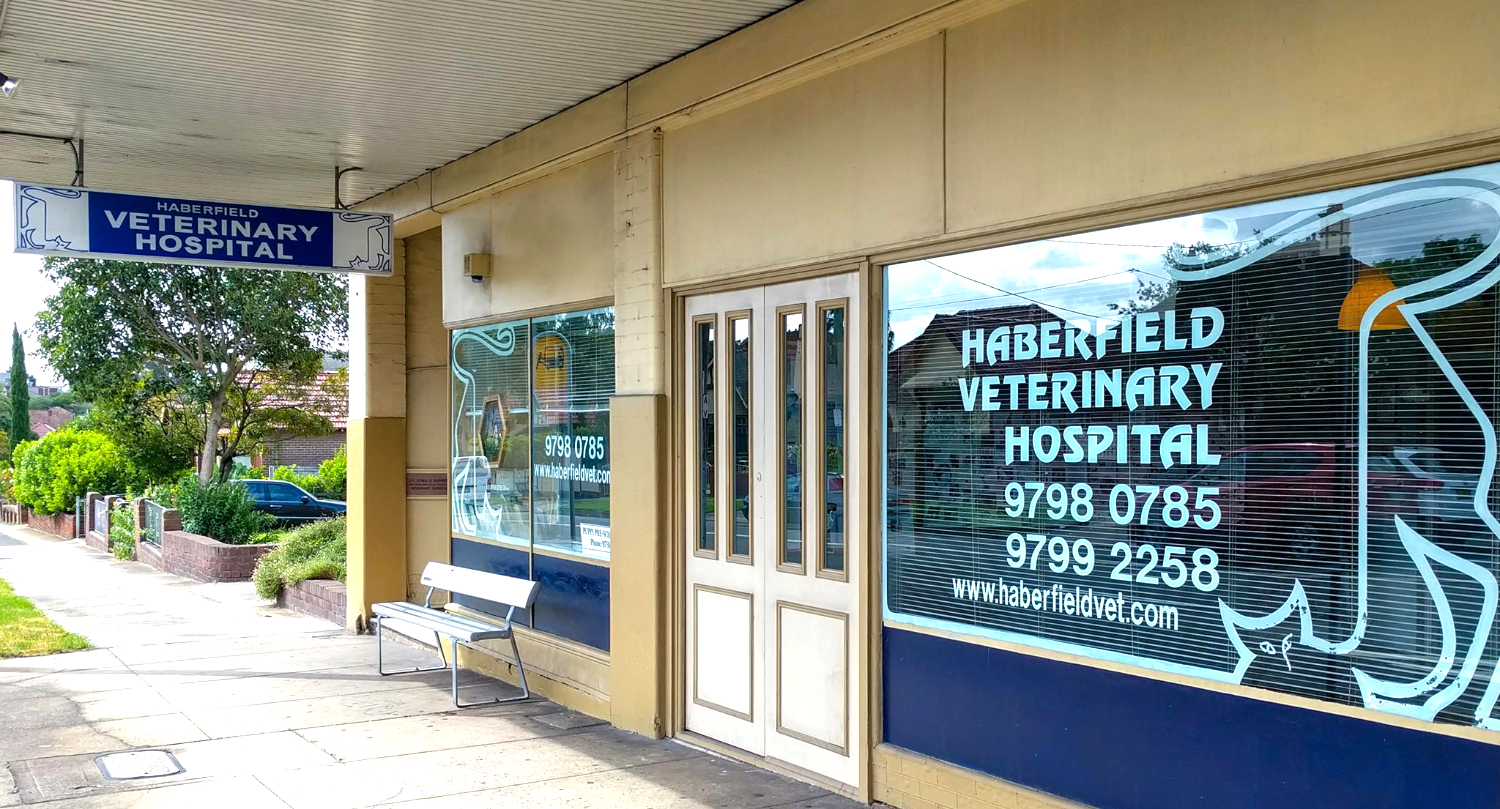 Haberfield Veterinary Hospital