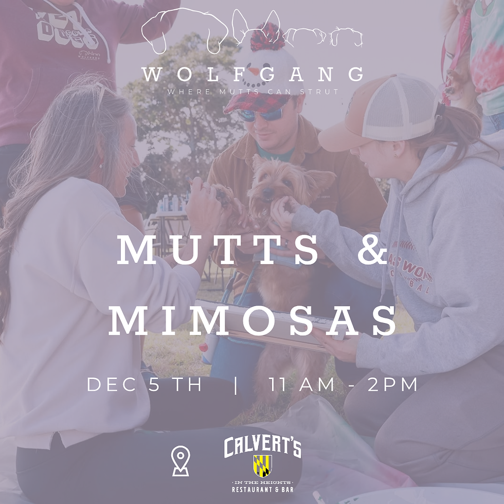Mutts & Mimosas ( 12/5 date)