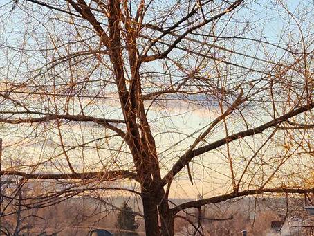 Shedding Light on the Denver Sun