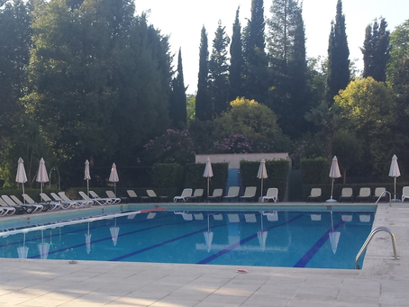 There was a Frog in the Pool Today!