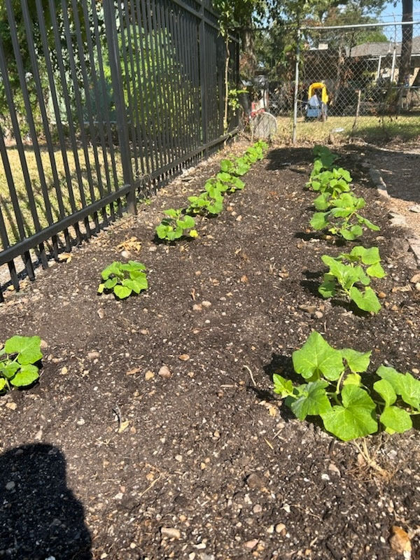 KakaoTalk_20241012_122451289