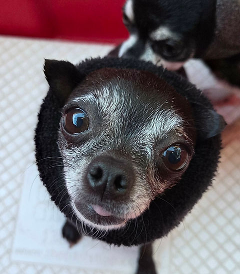 a6493ecc-ece9-4ff9-8daa-4979f22e4267.jfif