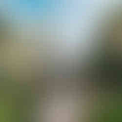 hurricane luch tarifa 