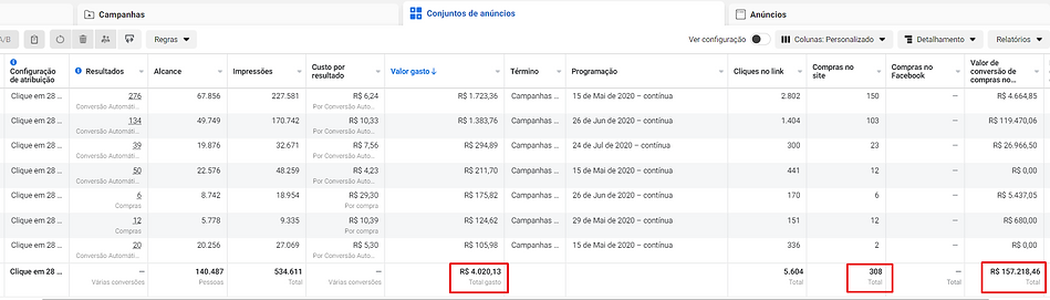 Resultados do Gestor de Tráfego Marcelo Minerato - IMG1