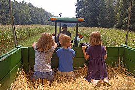 Farm 2