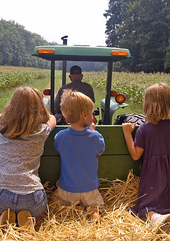 Farm 2