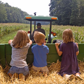 Shining Star of Niche Tourism: Agritourism