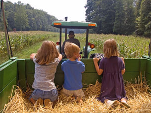 Why Farmers in Kansas Should Choose Ryze Insurance Services for Crop and Farm Insurance
