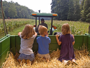 Small farms in the Mountain States are disappearing