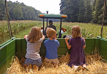 Farm 2
