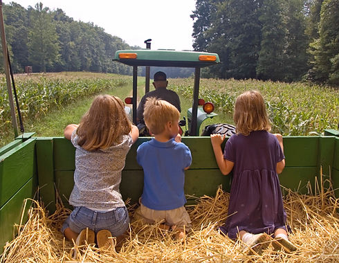 Farm 2