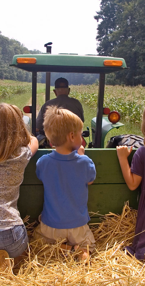 Farm 2