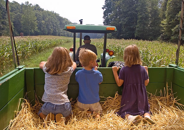 Farm 2