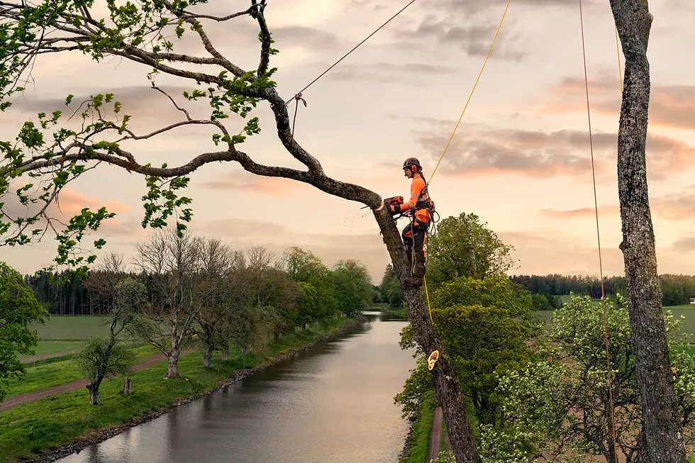 Thumbnail: Husqvarna T540 XP® Mark III 14" Bar Chainsaw (California Compliant)