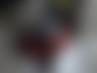 Toro 22296 Commercial Honda Engine w/Blade Brake Clutch