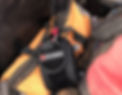 9A7B1C66-368B-46ED-AA95-495651B5D1B3_edited.jpg