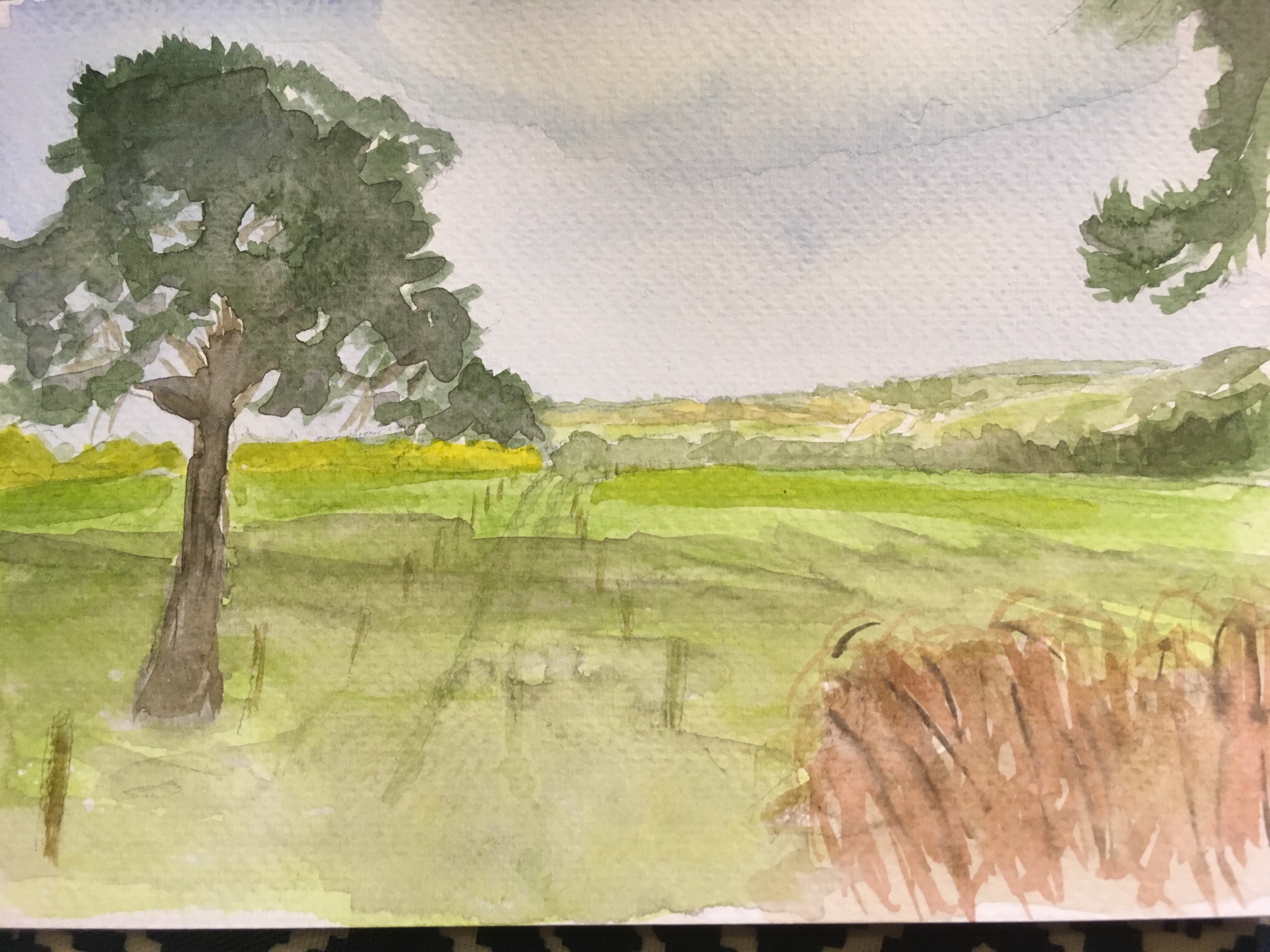 Towards Ambersham