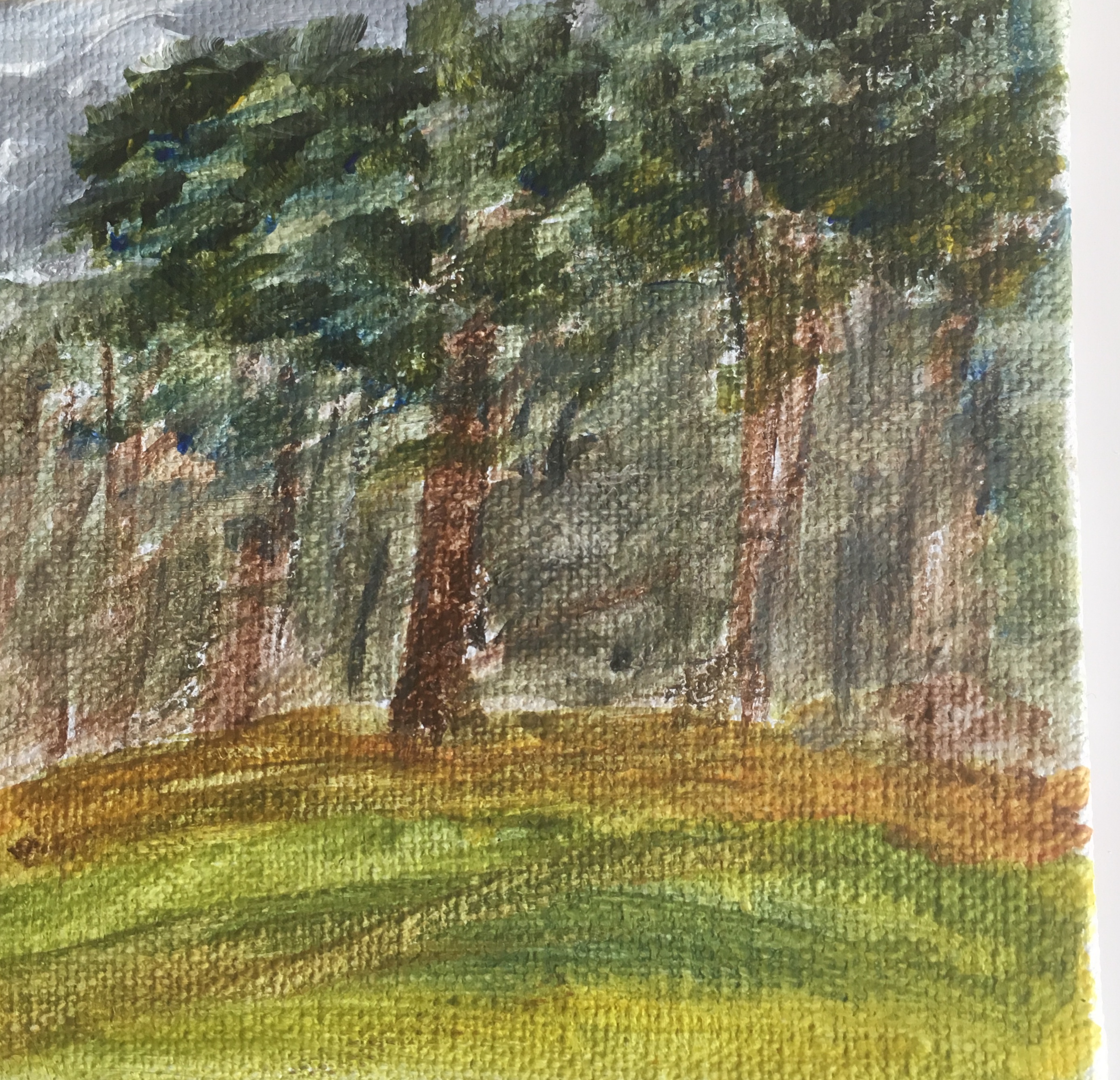 Graffham woods acrylic
