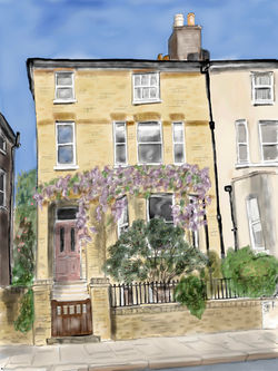 Burghley Road wisteria