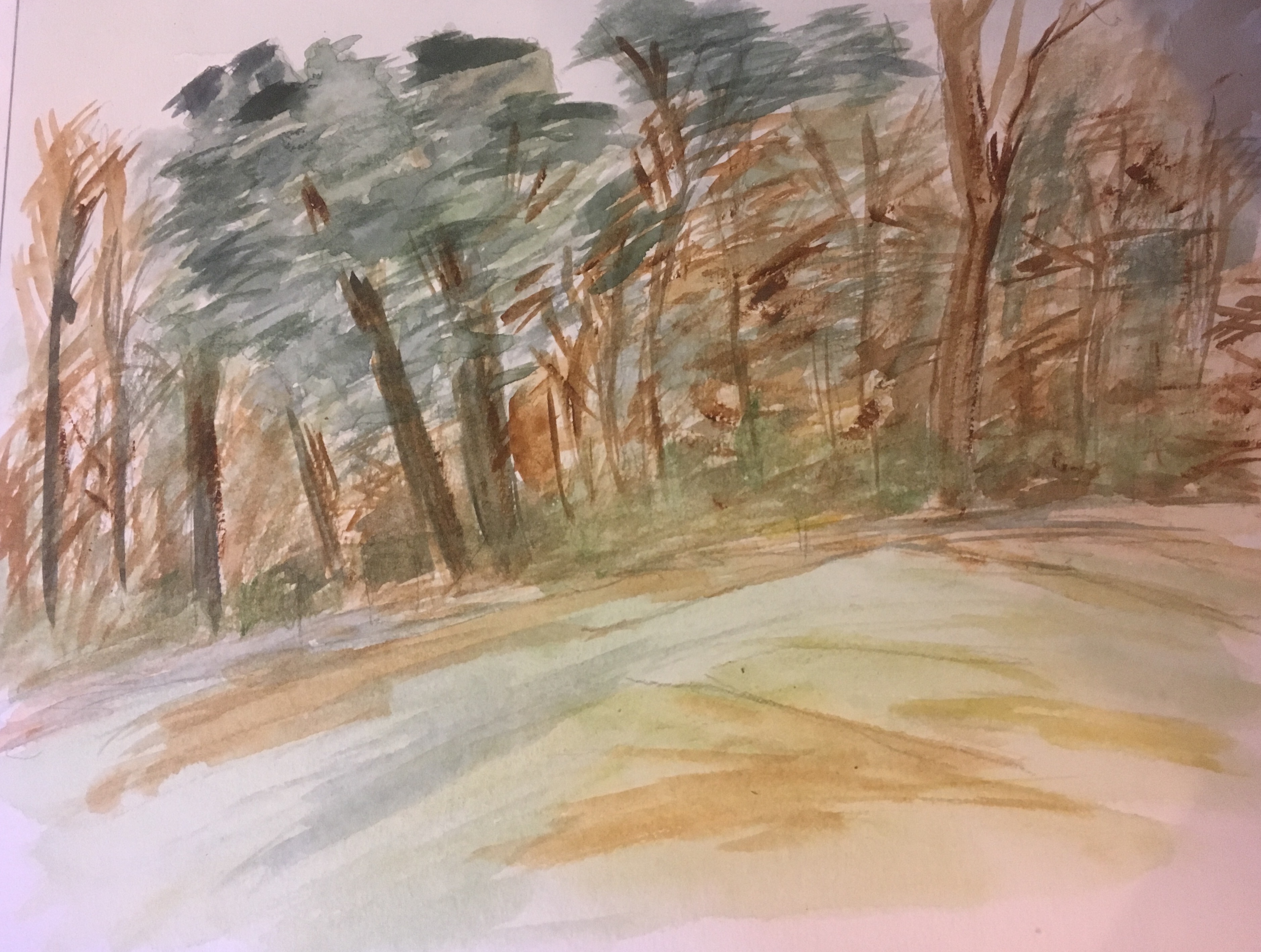 Graffham woods