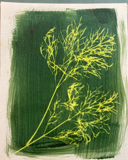 Sun Print 1 with jacquard sunprint1