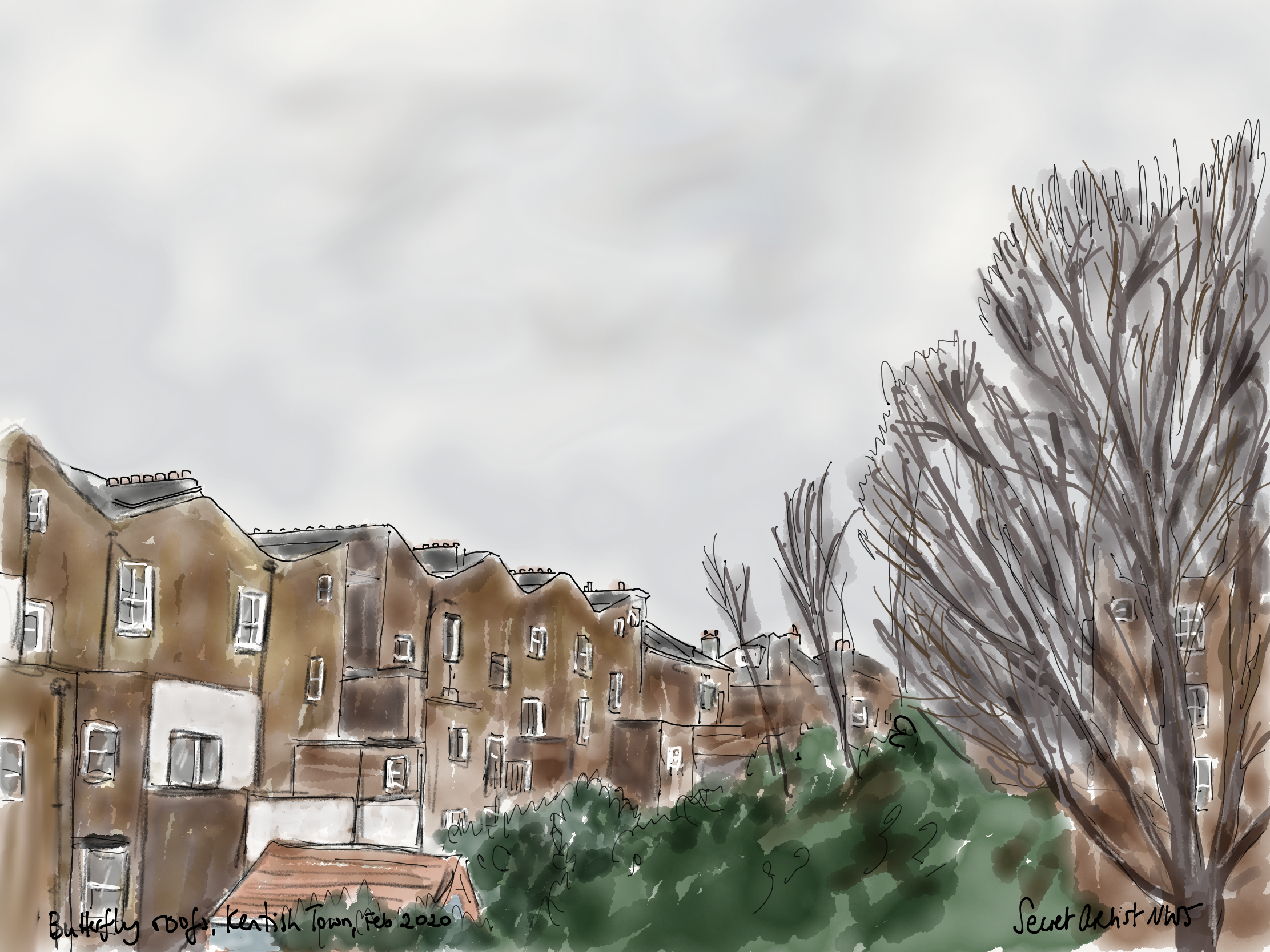 Butterfly roofs grey sky