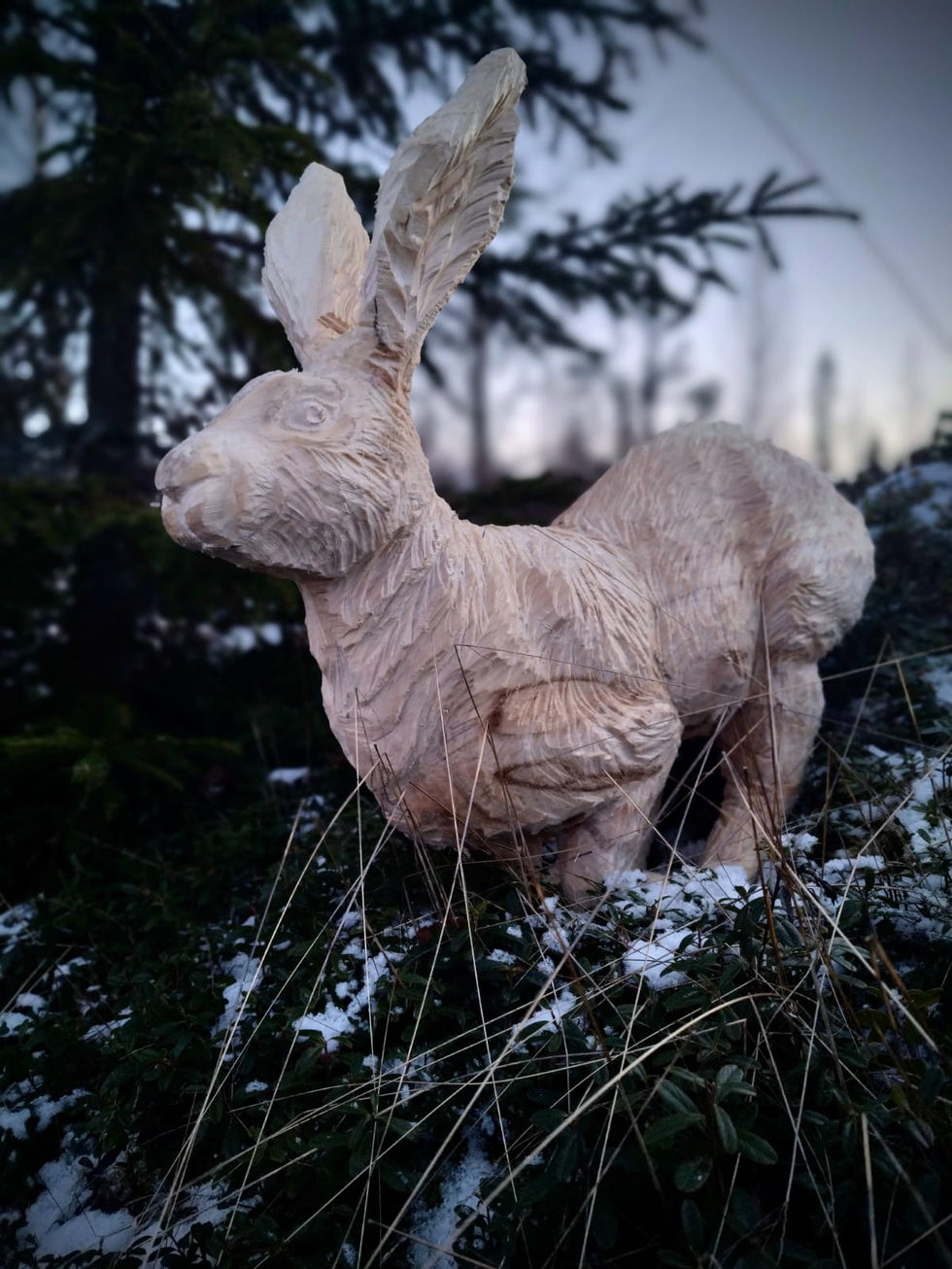 Moottorisahaveistos - Kuopio - Rusakko